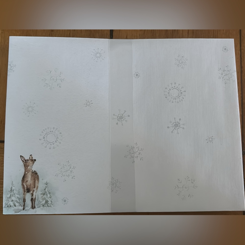 Lang Boxed Christmas Cards w/ Envelope - Picture 3 of 6